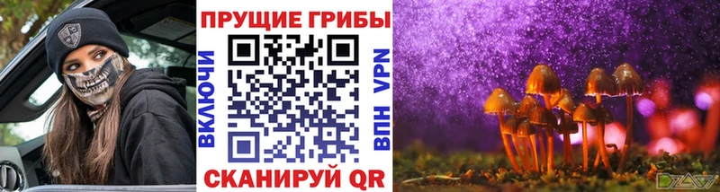 Галлюциногенные грибы Magic Shrooms  Купить  Ладушкин 